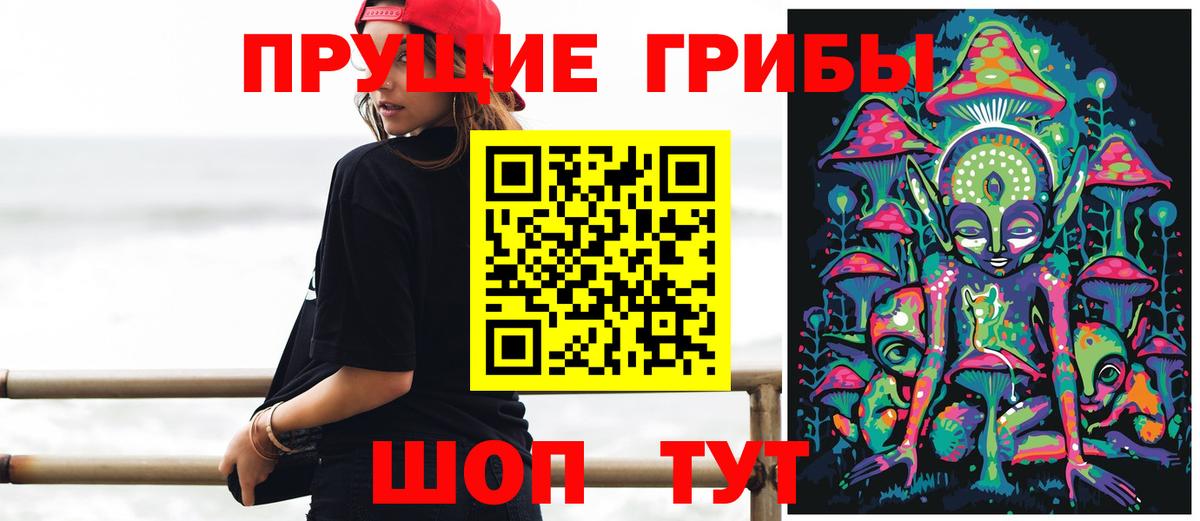 Псилоцибиновые грибы Psilocybe  Галлюциногенные грибы прущие грибы  Прокопьевск  Вход с VPN 